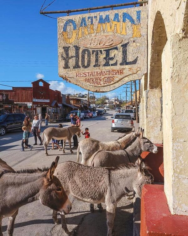 TRAVELING ARIZONA HIGHWAYS � As you drive the historic Route 66 deeper into no man's land, you will eventually stumble across the historic town of Oatman, Arizona � Facebook.jpg