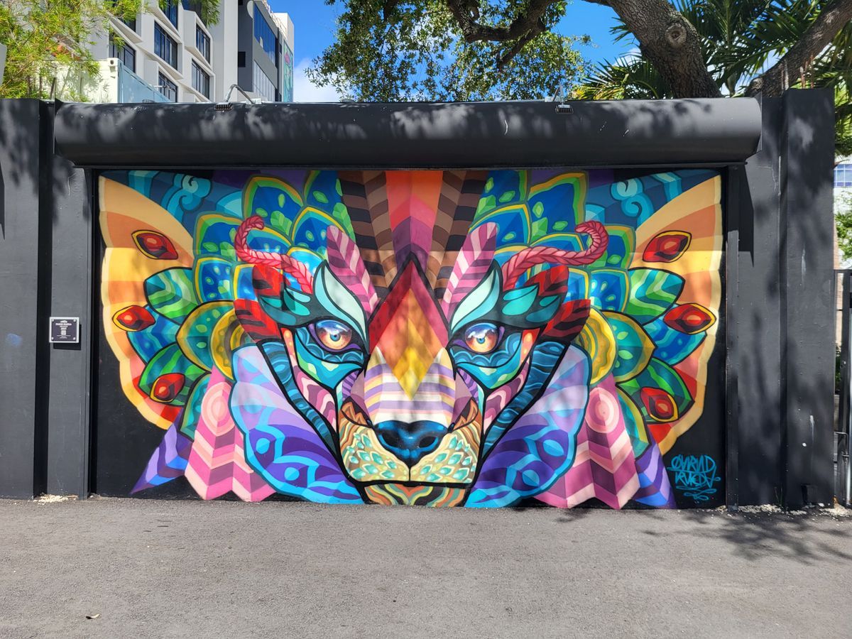 free-photo-of-murale-di-un-leone-colorato-sulle-pareti-di-wynwood-a-miami.jpeg