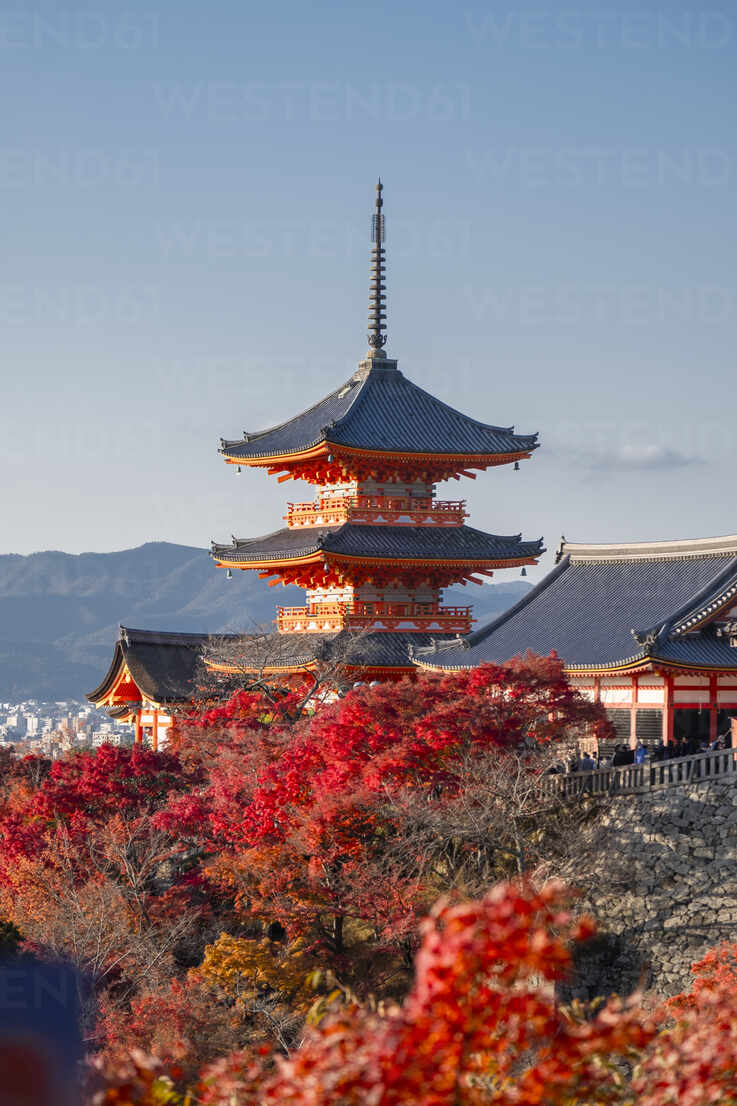 kiyomizu-dera-buddhist-temple-and-sanjunoto-three-story-pagoda-with-autumn-color-kyoto-unesco-world-heritage-site-honshu-japan-asia-RHPLF34076.jpg