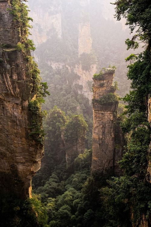 Pilastri di roccia nella foschia, Zhangjiajie