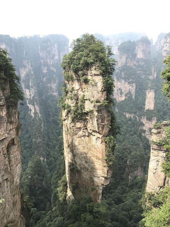 Pilastro delle Montagne di Avatar, Zhangjiajie