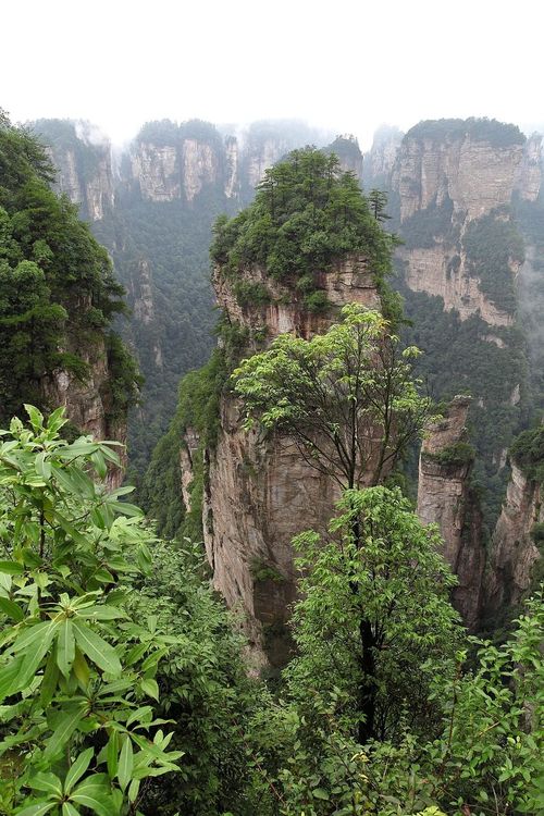 Pilastri di arenaria di Wulingyuan, Zhangjiajie