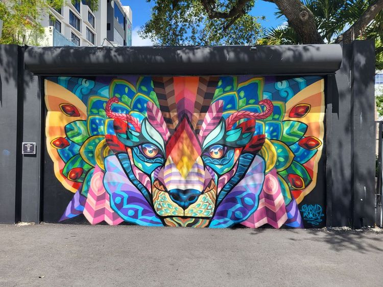 Miami e Puerto Rico, foto 3