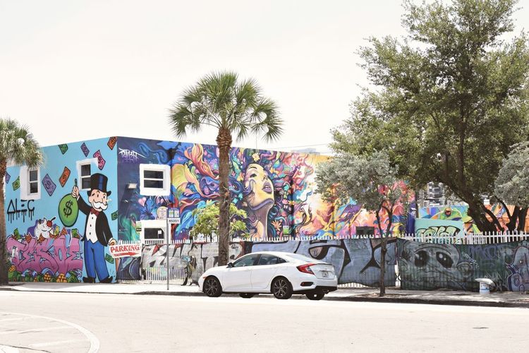 Miami e Puerto Rico, foto 2