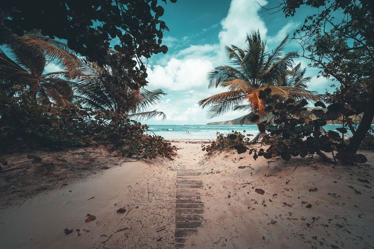 Miami e Puerto Rico, foto 1